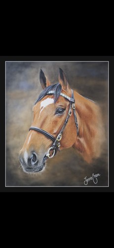 Frankel print - frankel,