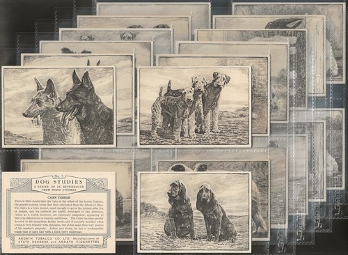 Ardath full set - set-, dog