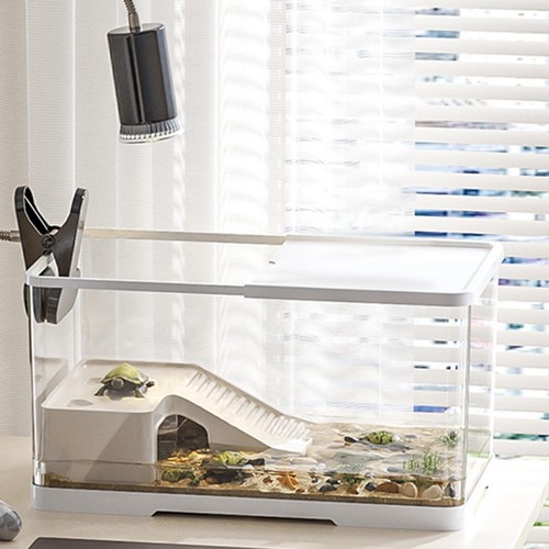 Turtle tank aquarium hermit - turtle,