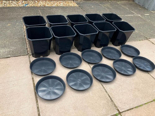 Large bundle aeroplas - large, 10
