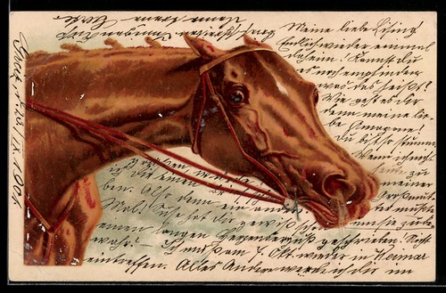 Artist harry payne - harry,