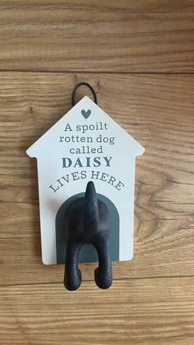 Dog lead hook - dog, pet