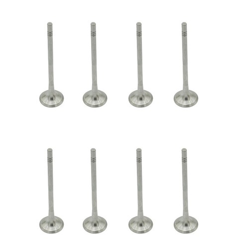 Exhaust valve genuine for - 8x,