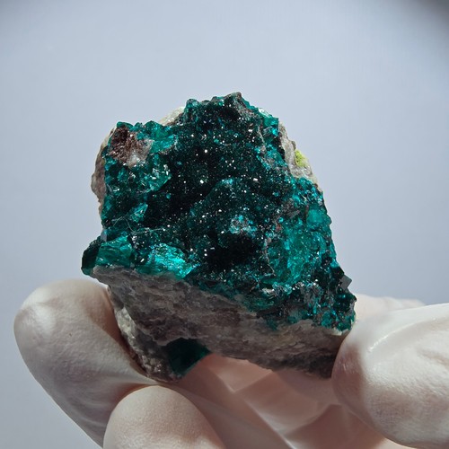 Rare dioptase mottramite - rare, xx,