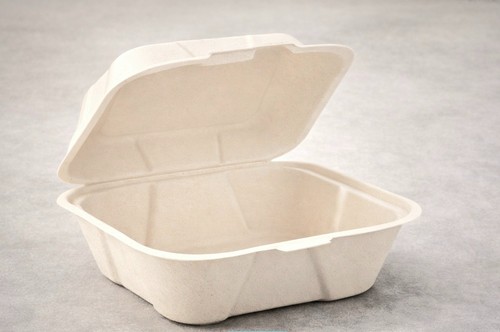 Bagasse burger boxes - bagasse,