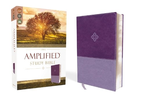The amplified study - the,