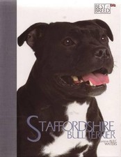 Staffordshire Bull Terrier -