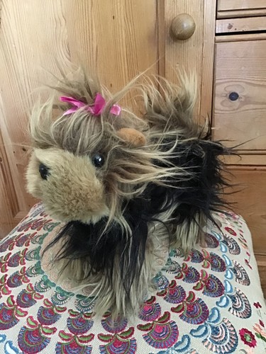 Fluffy black brown yorkshire - black,