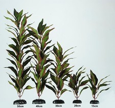 Green Red Silk Aquarium Fish