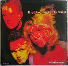 THE DARLING BUDS - BURST 1988