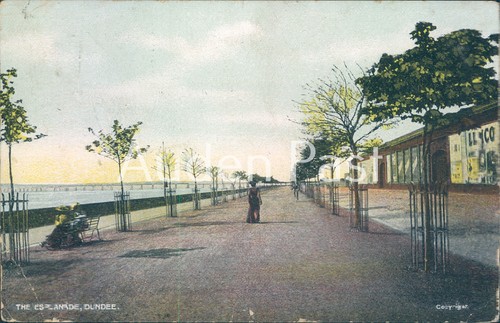 Vintage postcard the esplanade - vintage,