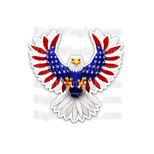 American flag bald eagle - flag,