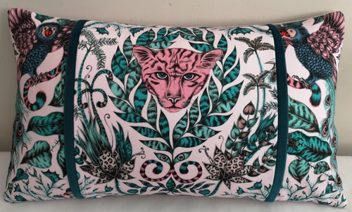 Emma shipley amazon - j,