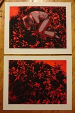 My Tiger Lily Rests Set of 2