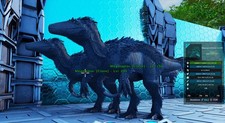 Megaraptor TOP STAT Adult Pair (EXCLUSIVE) Ark Survival Ascended PVE
