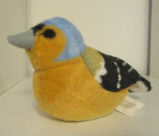 Chaffinch Plush with Real Bird
