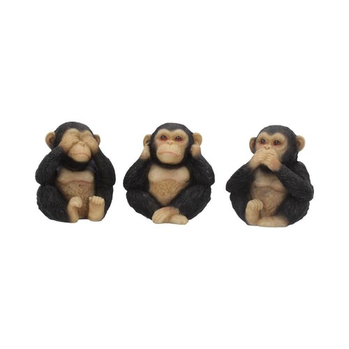 Three wise chimps hear - wise,