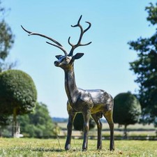 Amazing freestanding buck - amazing,