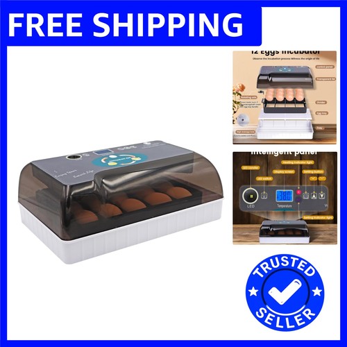Luxury automatic egg - luxury,