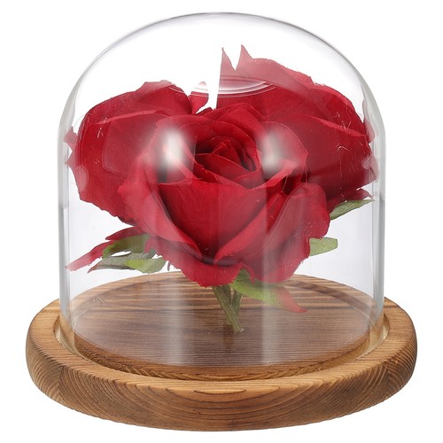 Glass cloche display - cloche,