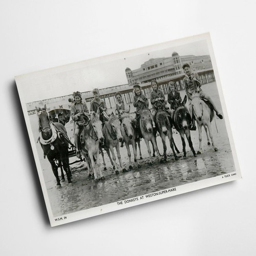 Print vintage somerset - vintage,