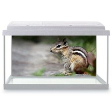 Fish Tank Background 90x45cm -