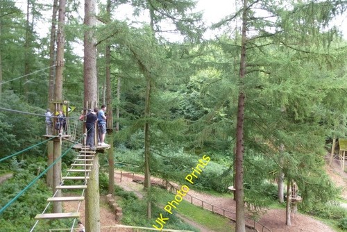Photo 6x4 high ropes course - ropes,