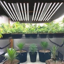 Full Spectrum Spider