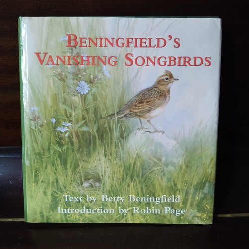 Beniningfield vanishing - beniningfield's,