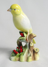 Royal Adderley Canary - Made