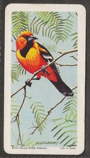 BROOKE BOND (TEA)-(CANADA)