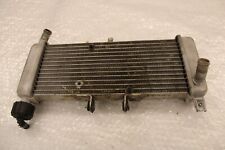 Radiator Water Cooler Watercooler Radiator Aprilia RS 125 ABS KC 17-21 #R7990