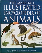 The Marshall Illustrated