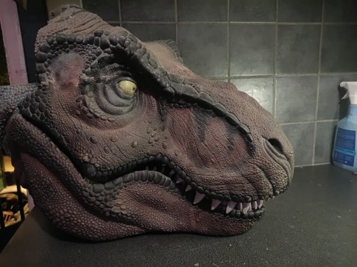 Large scale rex head - large,