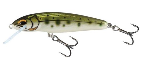 Salmo minnow lures - salmo,