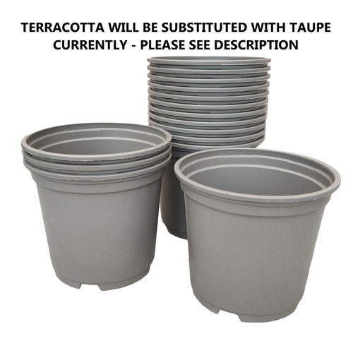 5cm plastic plant pots - 10.5cm, full
