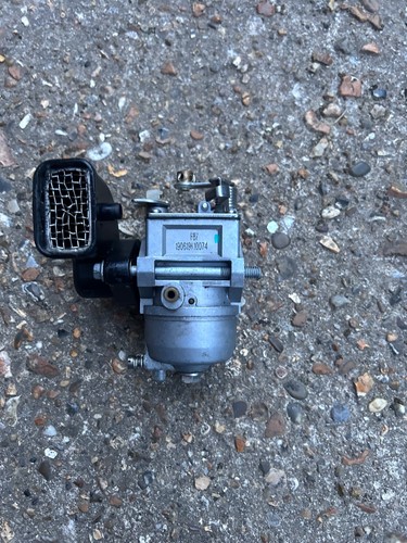 Genuine selva marine - selva, guppy