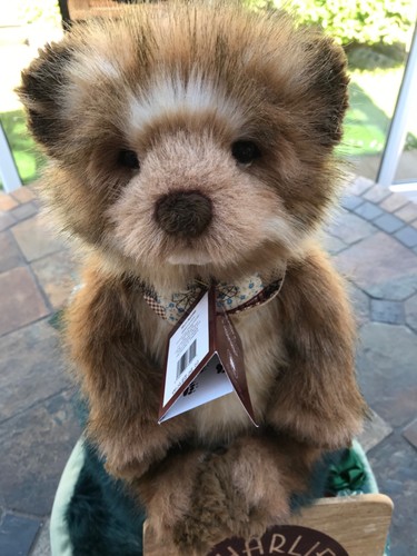 Charlie bear bearhouse - bear,