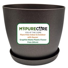 Graphite Matte Plastic Plant