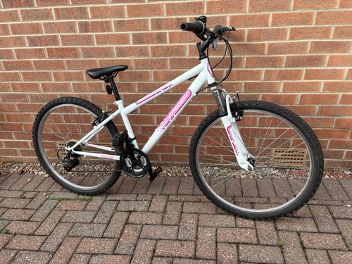 Mountain bike - mountain,