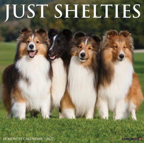 Shelties 2027 wall - shelties,