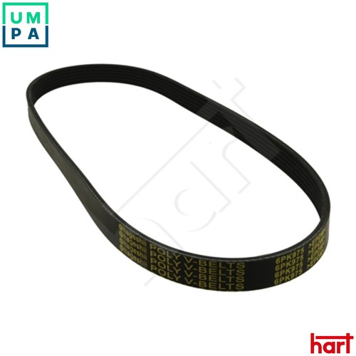 Vribbed belt 368 - 368, skoda