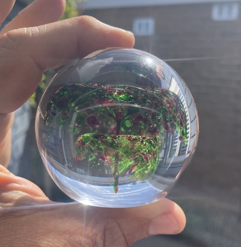 Wedgewood glass paperweight - wedgewood,
