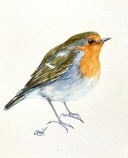 European Robin Watercolor