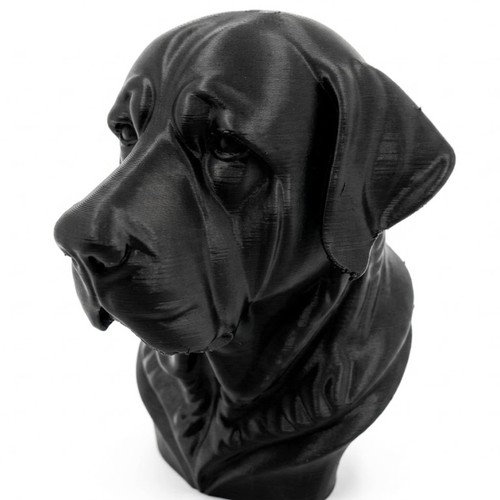 Spanish mastiff dog - bust,