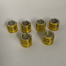 Racing homing pigeon ring - homing,