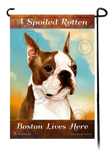 Boston terrier spoiled rotten - terrier,