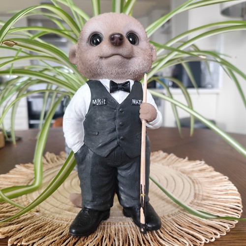 Vivid arts baby - baby, meerkat