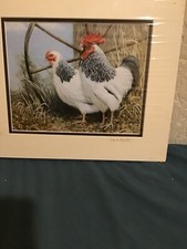  Signed picture by artist mark chester 2 chochins   in very good condition 