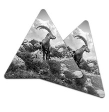 2x Triangle Coaster - BW - Alpine Ibex Mountain France #37197